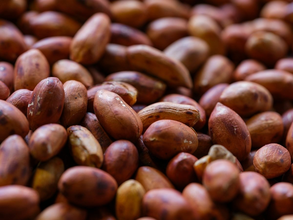 Bold kernels with papery skin