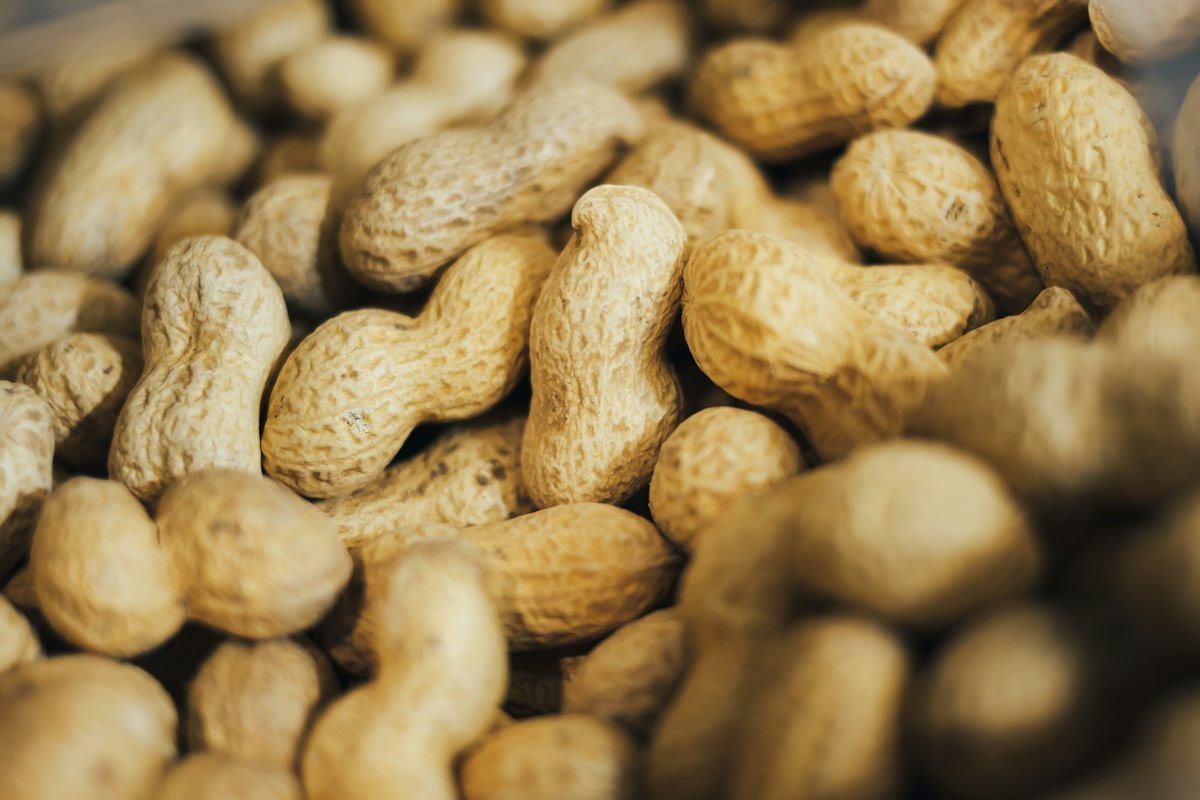 Inshell groundnuts close-up