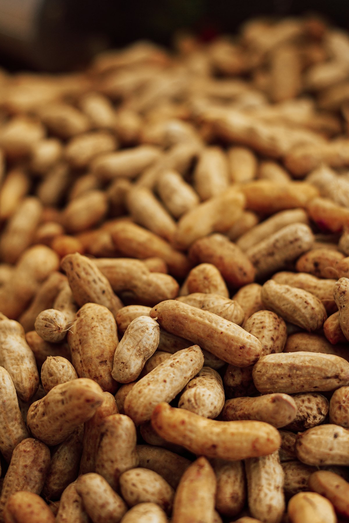Sun-dried inshell peanuts