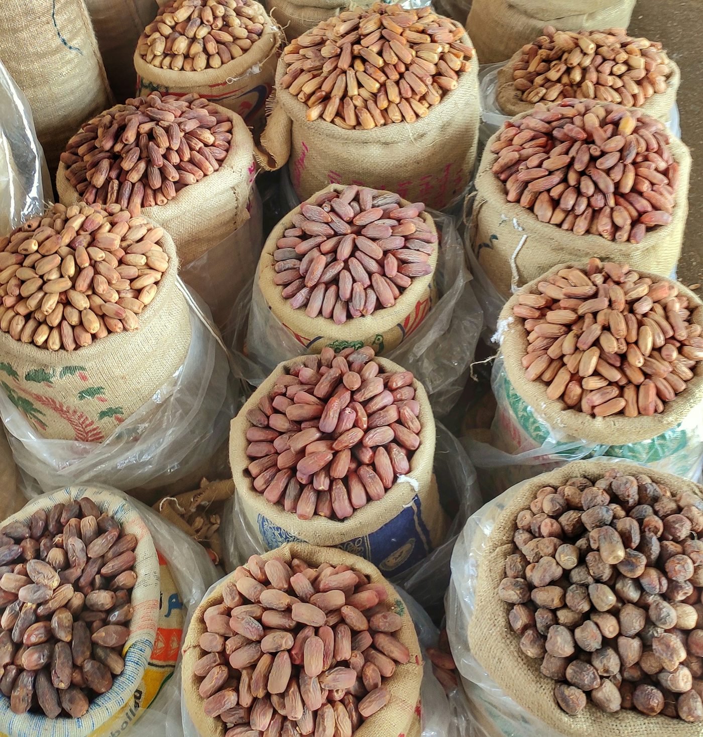 Sacks of Indian peanut kernels ready for grading