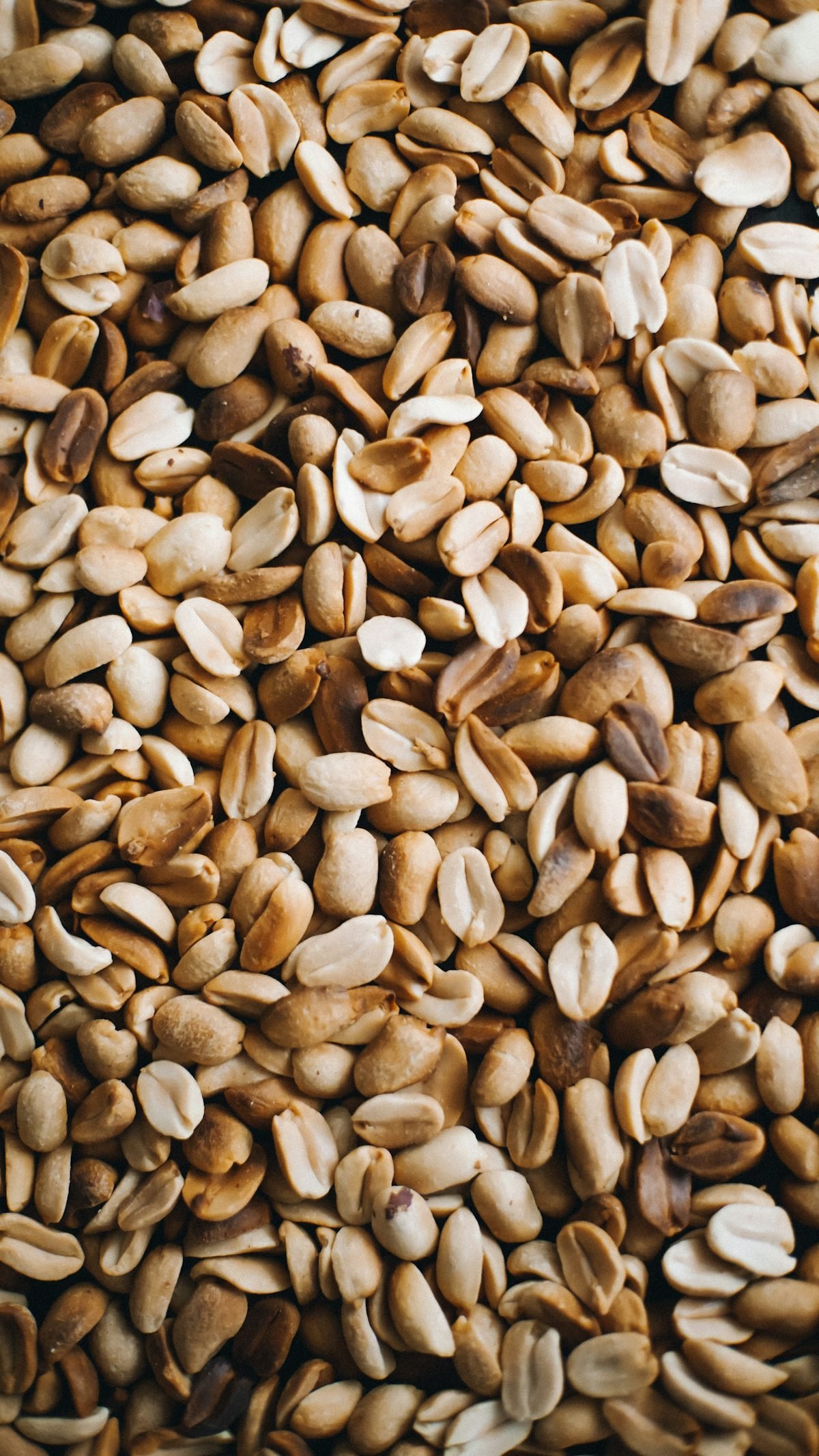 Roasted Snacks